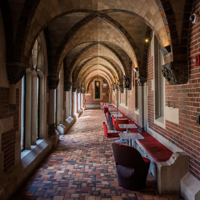 University of Chicago campus in the summer