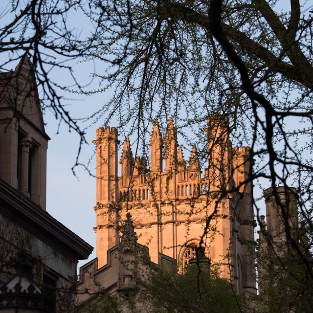 Harper memorial library in the evening