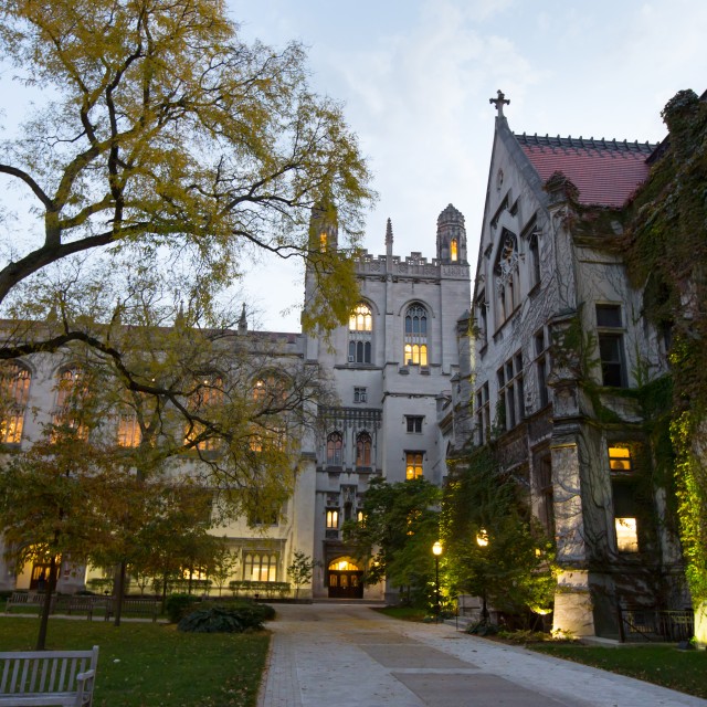 Fall at the university of Chicago